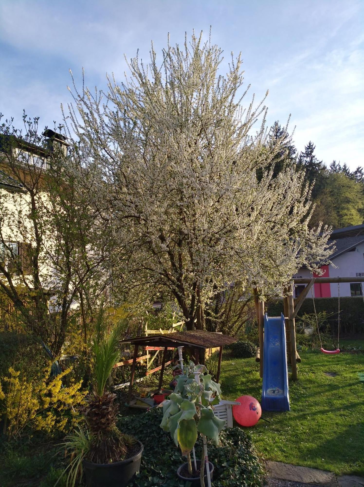 Haus Friedburg Leilighet Velden am Wörthersee Eksteriør bilde